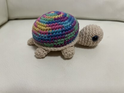 Rainbow Tortoise