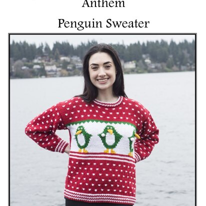 Penguin Sweater in Cascade Anthem - W711 - Downloadable PDF