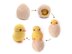 Henrietta the Hen with Reversible Egg to Chick