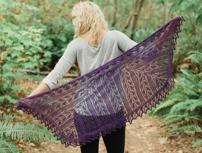 Reiland Rectangular Lace Shawl in SweetGeorgia Superwash Sport - Downloadable PDF