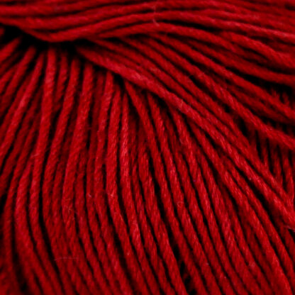 Raspberry (17)