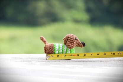 Mini Dachshund in Sweater