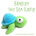 Bradley the Sea Turtle