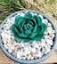 Crochet Hen & Chick's succulent plant