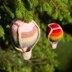 High In The Sky Hot Air Balloon - UK Terms