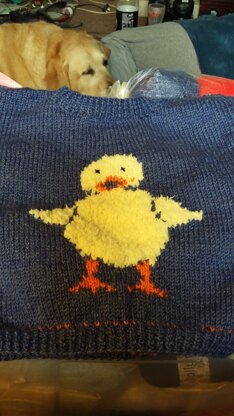 Daphne Duck Sweater