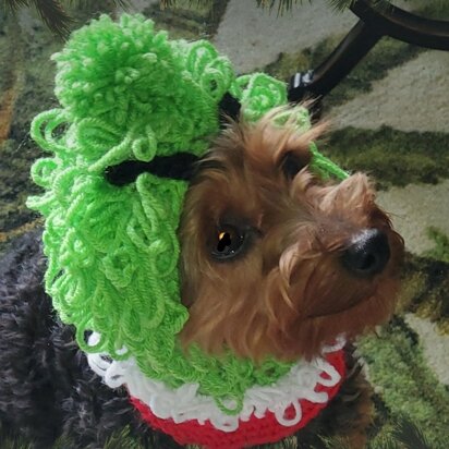 Grinch Inspired Dog Hood