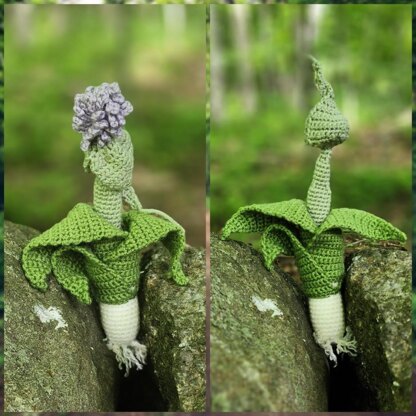 Leek with flower pod