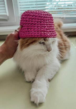 Pets bucket hat