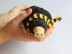 Niffler pencil case fantastic beasts character