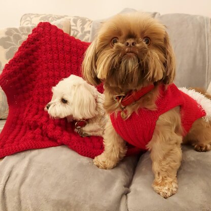 Santa dog coat