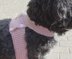 Crochet Pattern Dog Harness (for small dogs)