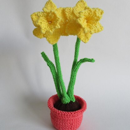 Daffodils in a Pot Chocolate Orange Cover Cozy