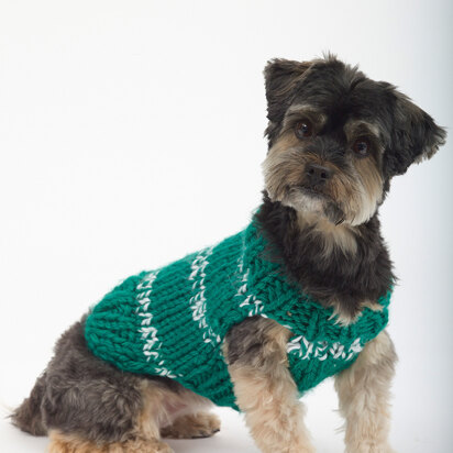 The Sports Nut Dog Sweater in Lion Brand Hometown USA - L32126 - knitting pattern