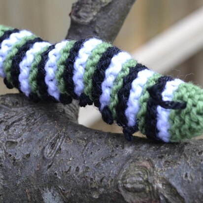 Monarch Caterpillar and Chrysallis