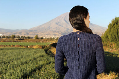 Amano Lupe Cardigan (Free)
