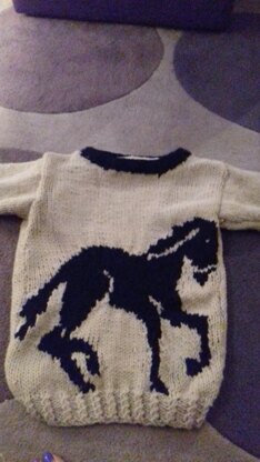 Horse jumper