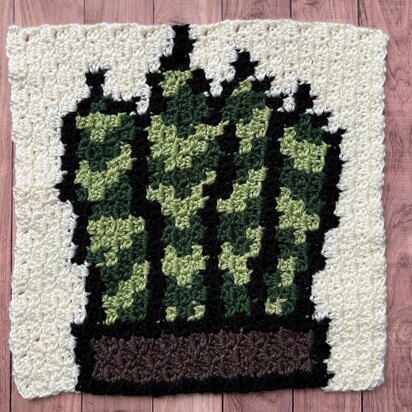 Snake Plant Blanket Square