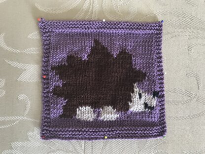 Hedgehog Intarsia Square