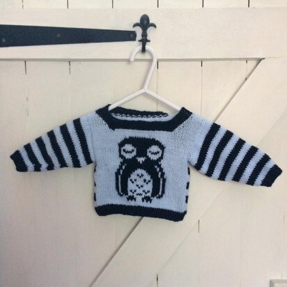 Sleepy Baby Owl Jumper