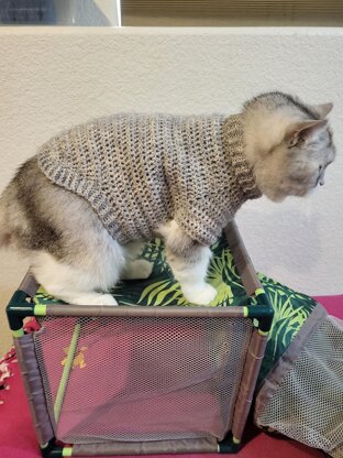 SWAhn Pet Sweater