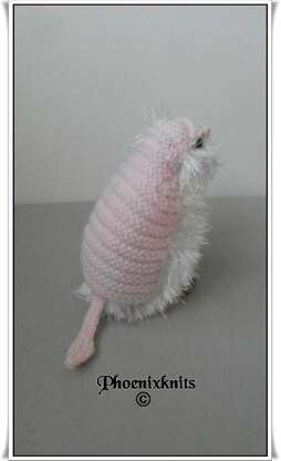 Armo The Pink Fairy Armadillo