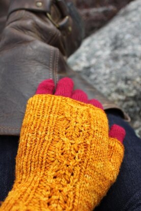 Ginger Beer Mitts