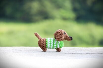 Mini Dachshund in Sweater