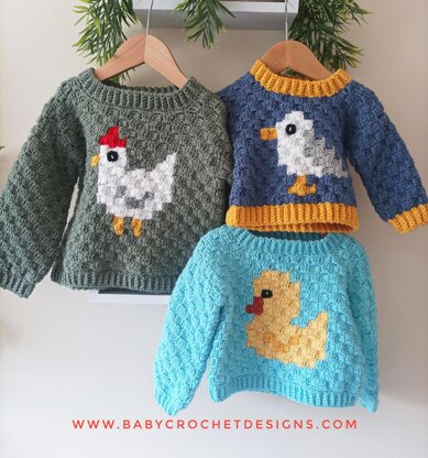 C2C Jumper Birds
