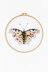 Butterfly Victoria  in DMC - PAT0084 -  Downloadable PDF