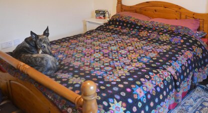 Phil's Crochet Blanket