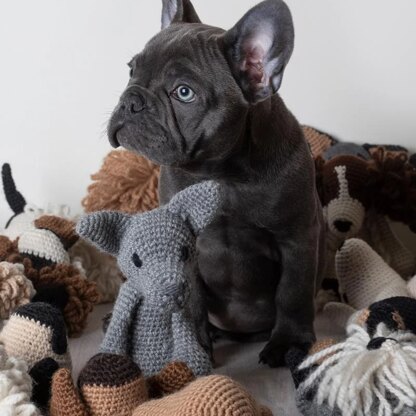 Amigurumi Kit - Bulldog