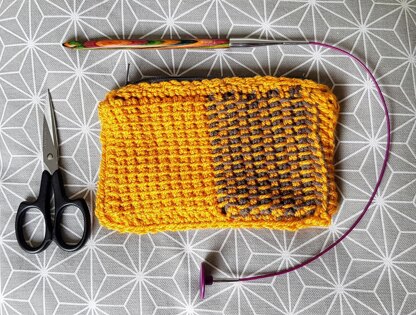 Simple Tunisian Notions Pouch