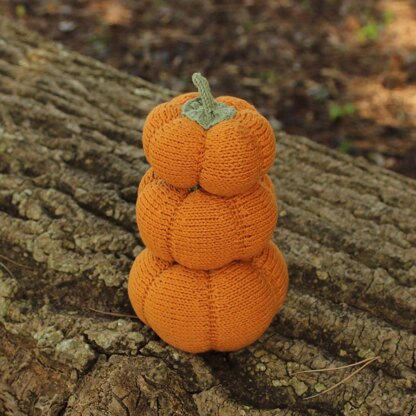 Autumn Means Pumpkins