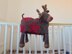 3in1 Festive Reindeer Baby Blanket