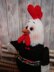 Toy knitting pattern rooster for Valentine's Day rooster, 4 roosters -1 pattern