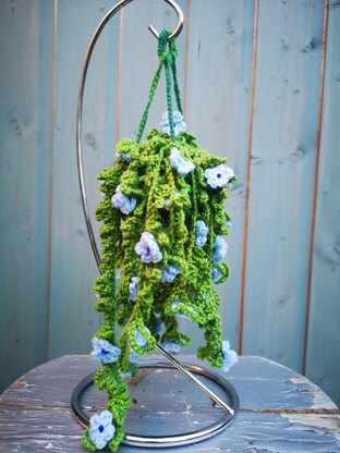 Snowtopia hanging plant