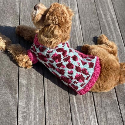 Vibrant Leopard Dog Sweater in Lion Brand Basic Stitch Anti-Pilling Yarn - M21105 BSAP - Downloadable PDF - knitting pattern