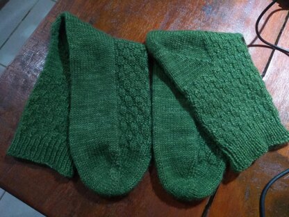 Araucaria socks