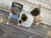 Puppy Dog Chocolate Orange Cover Knitting Pattern