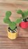 Prickly pear cactus
