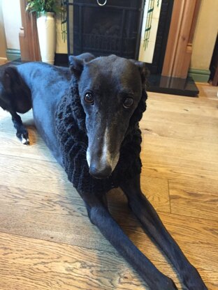 Greyhound Snood