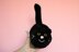 Black cat