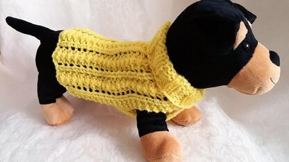 Easy Lace Dog Sweater