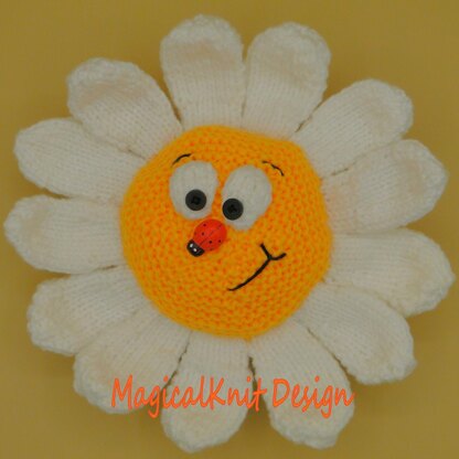 Didi the daisy