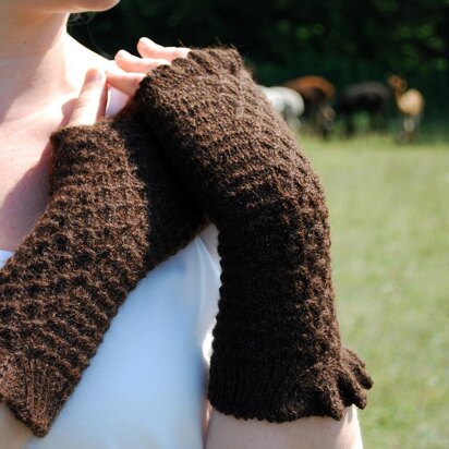 Filetage Fingerless Gloves