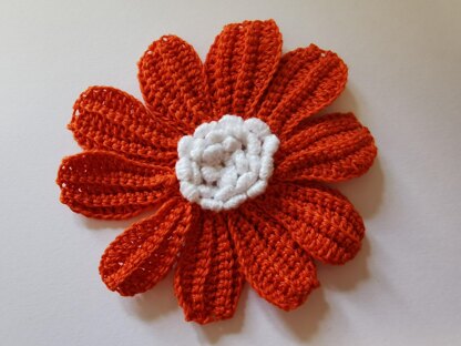 Gerbera Daisy Flower pattern