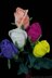 Long Stem Roses