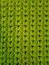 Forest Ferns Afghan
