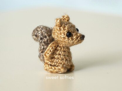 Baby Squirrel in Acorn
